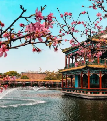 Cómo empacar de forma inteligente para el clima subtropical de Guangzhou: La guía definitiva de vestuario para viajeros a Chimelong