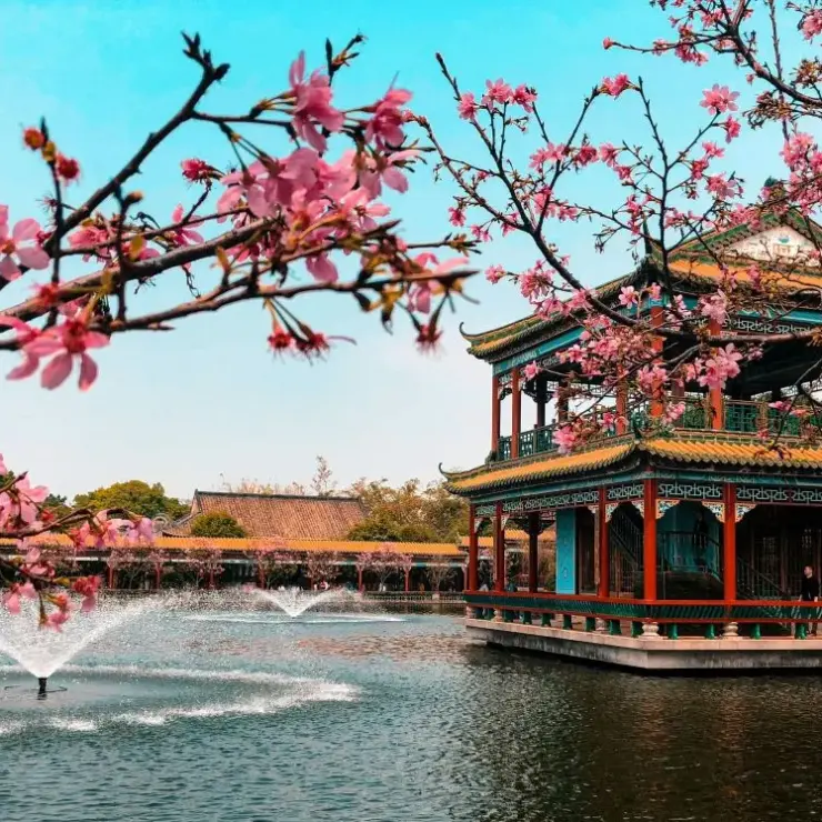 Smart Packing for Guangzhou’s Subtropical Climate: The Ultimate Wardrobe Guide for Chimelong Travelers